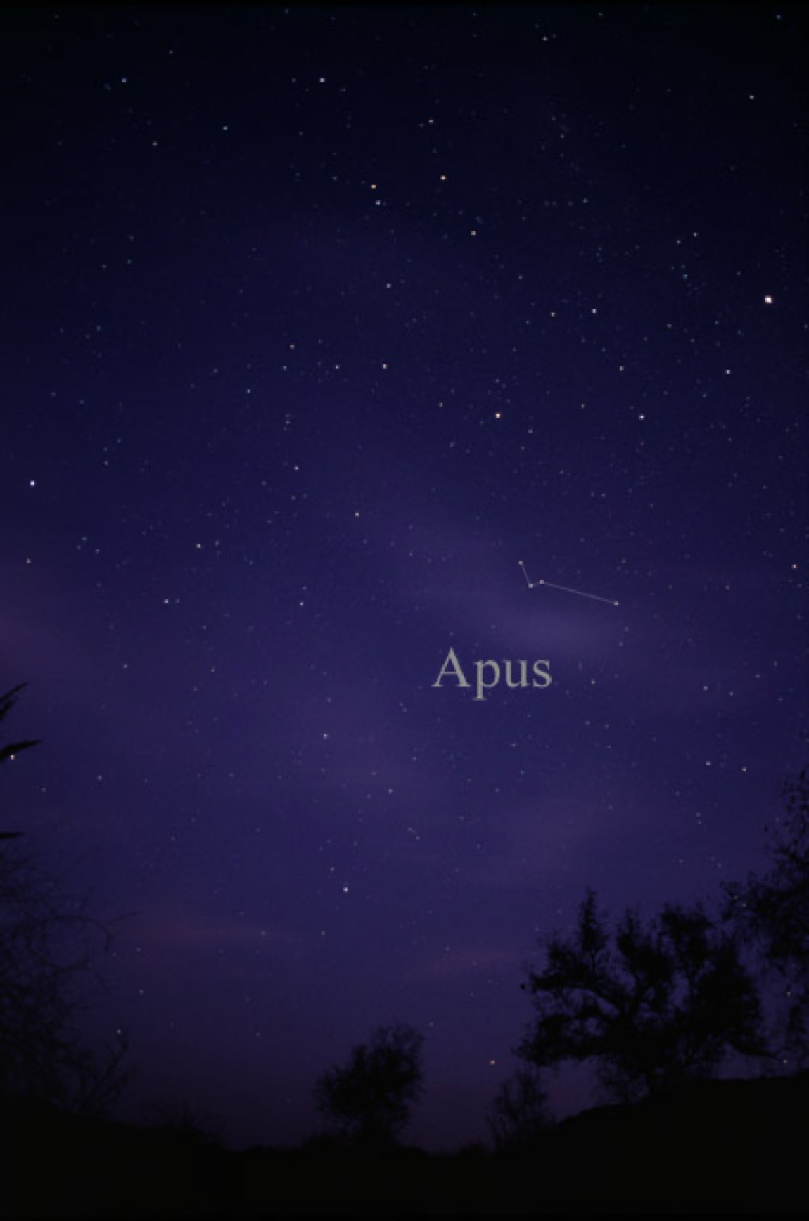 The sky around Apus