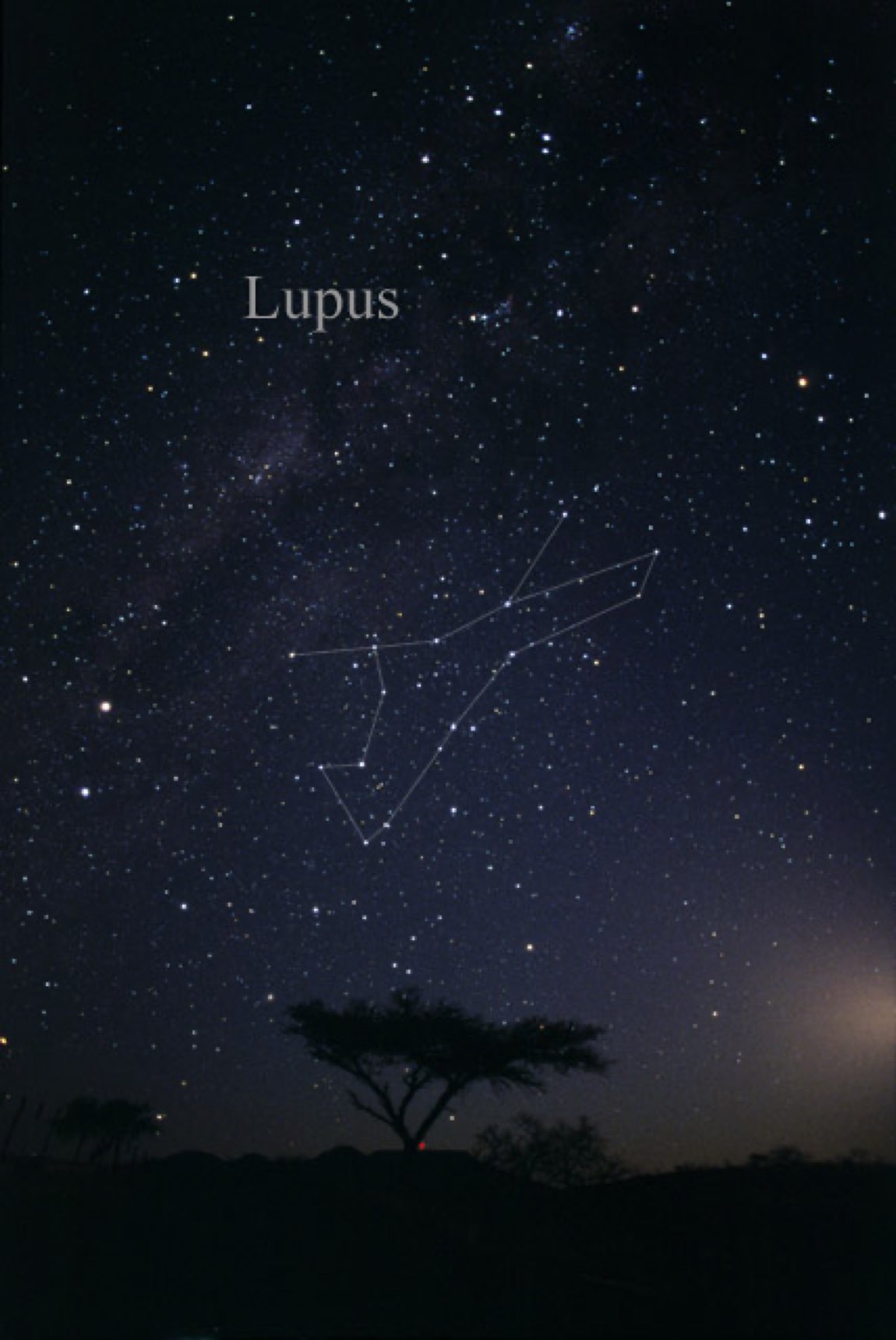 The sky around Lupus