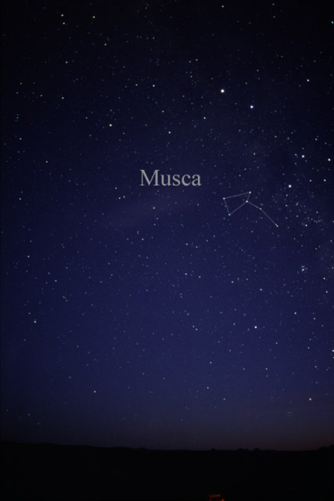 The sky around Musca